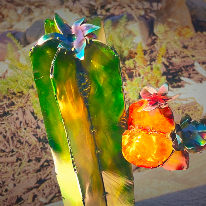Decorative cacti with colorful flowers against a natural background