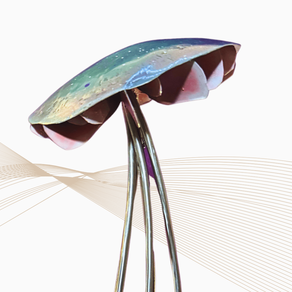 metallic mushroom with pink gills on a white and gold background