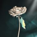 Metallic rose on a dark background