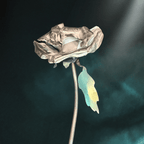 Metallic rose on a dark background