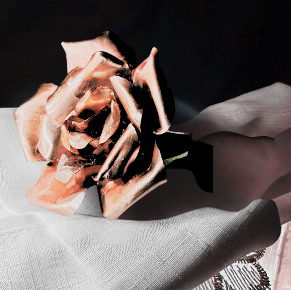 Close-up of a pink rose on a sheet with a dark background